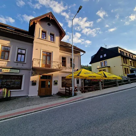 Guest house Adelka 3*